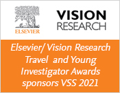 Vision Research